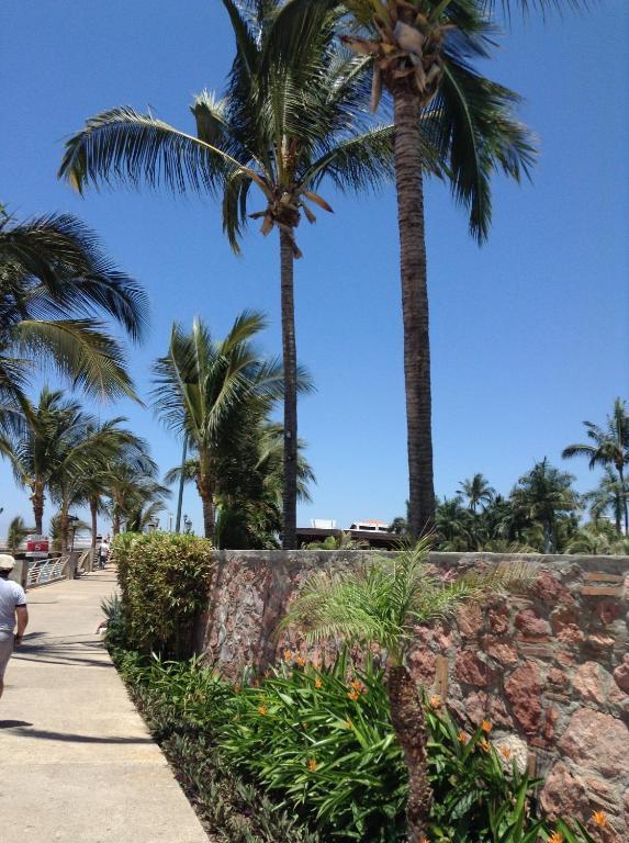 Hotel Molino De Agua Puerto Vallarta Exteriér fotografie